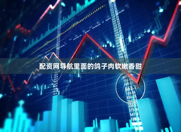 配资网导航里面的鸽子肉软嫩香甜
