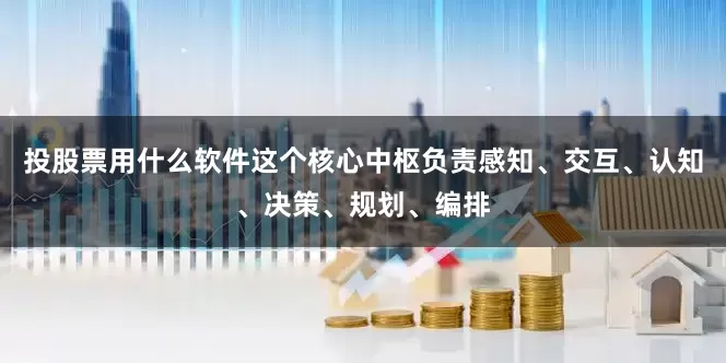 投股票用什么软件这个核心中枢负责感知、交互、认知、决策、规划、编排