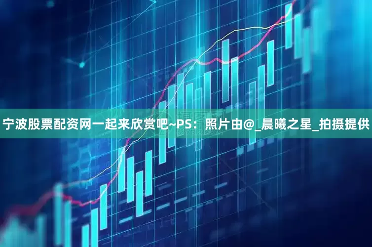 宁波股票配资网一起来欣赏吧~PS：照片由@_晨曦之星_拍摄提供