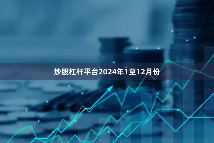 炒股杠杆平台　　2024年1至12月份