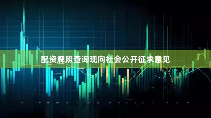 配资牌照查询现向社会公开征求意见